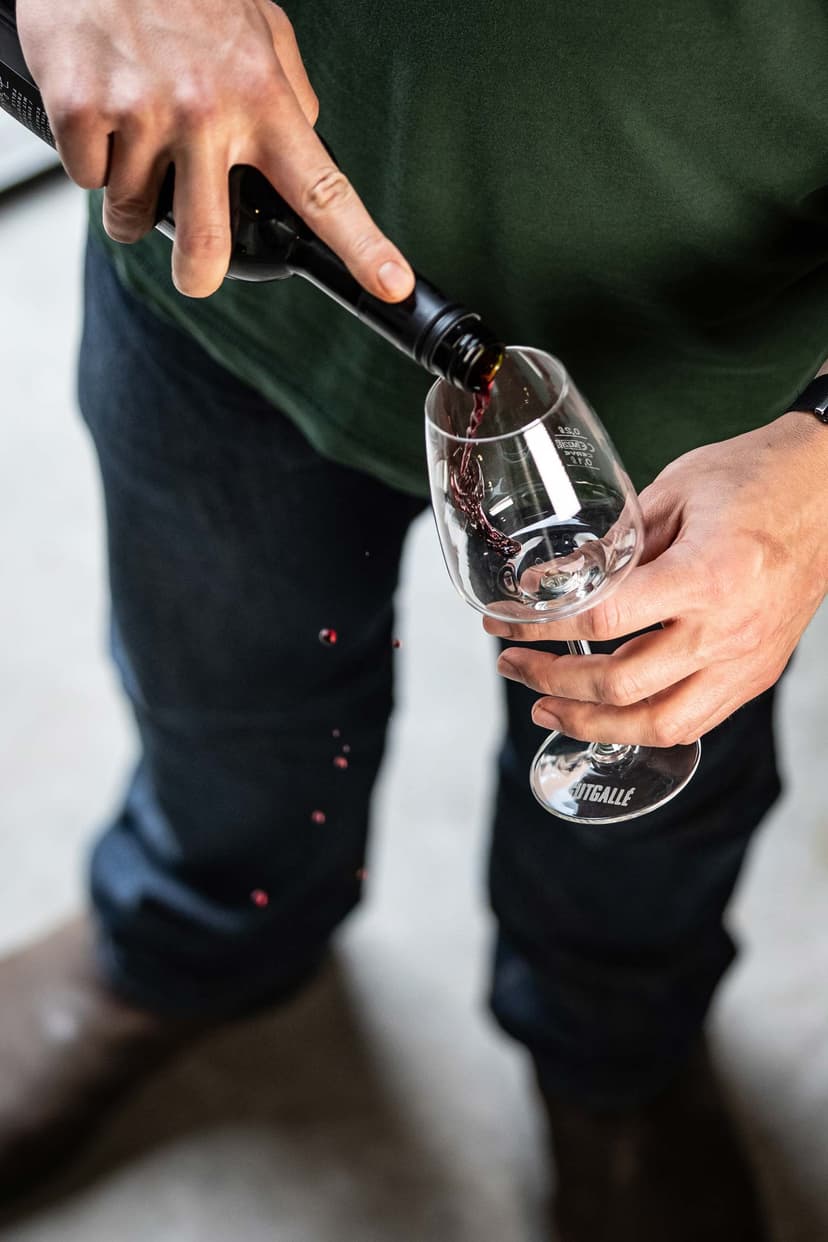 Ein Glas GUTGALLÉ-Wein